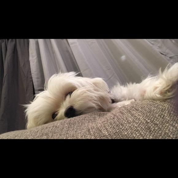 Meet your Posher, Alejita - Picture 1 of 1